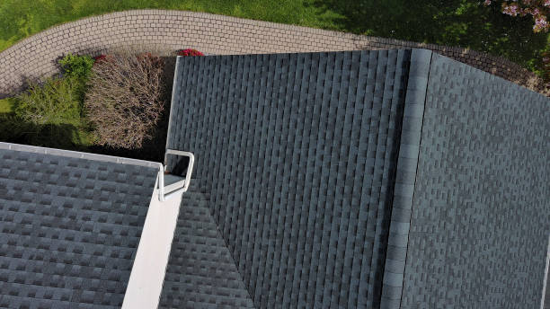 Best Solar Panel Roofing Installation  in Homer, MI